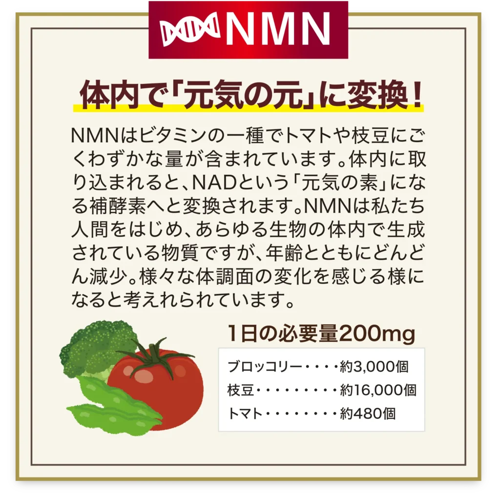 NMNはビタミンの一種でトマトや枝豆にごくわずかな量が含まれています。体内に取り込まれるとNADという「元気の素」になる補酵素へと変換されます。NMNは私達人間をはじめあらゆる生物の体内で生成されている物質ですが年齢とともにどんどん減少。様々な体調面の変化を感じるようになると考えられています。