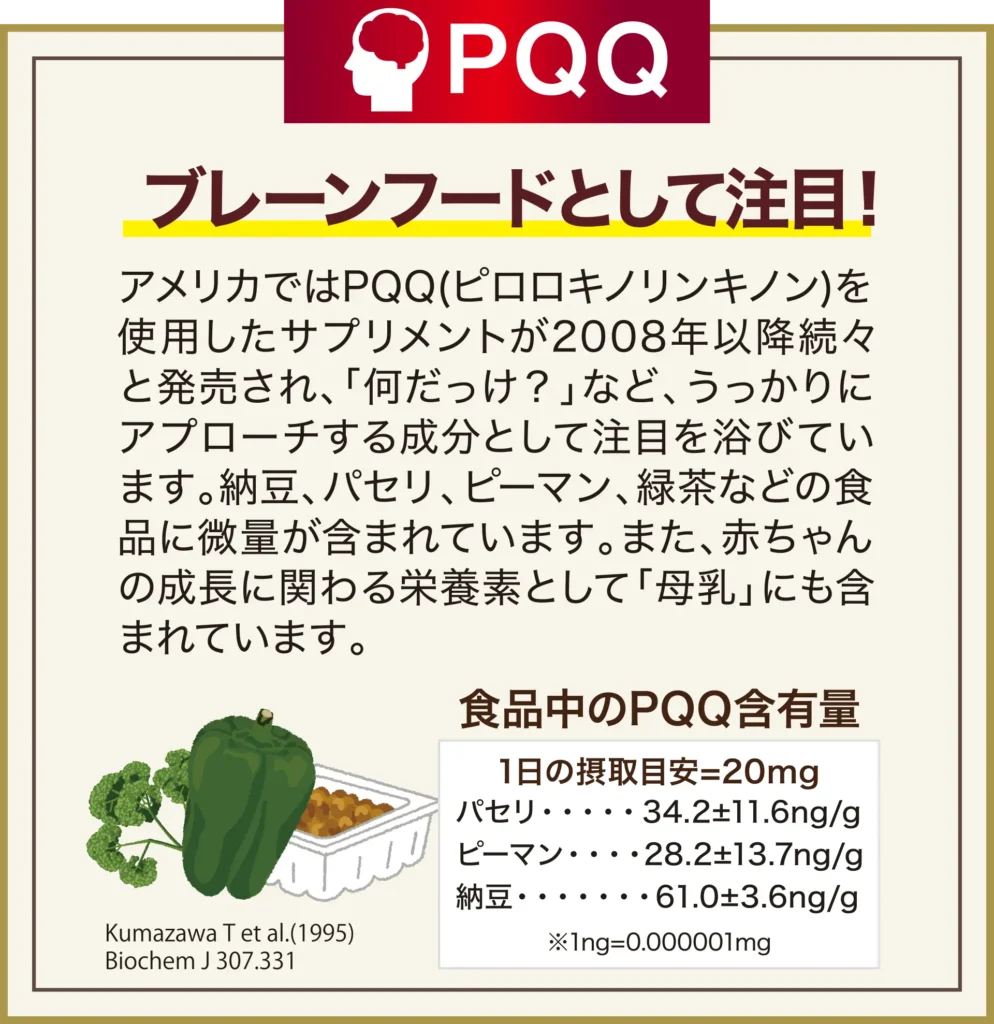 アメリカではPQQ(ピロロキノリンキノン)を使用したサプリメントが2008年以降続々と発売され「何だっけ?」などうっかりにアプローチする成分として注目を浴びています。納豆、パセリ、ピーマン、緑茶などの食品に微量が含まれています。また赤ちゃんの成長に関わる栄養素として「母乳」にも含まれています。